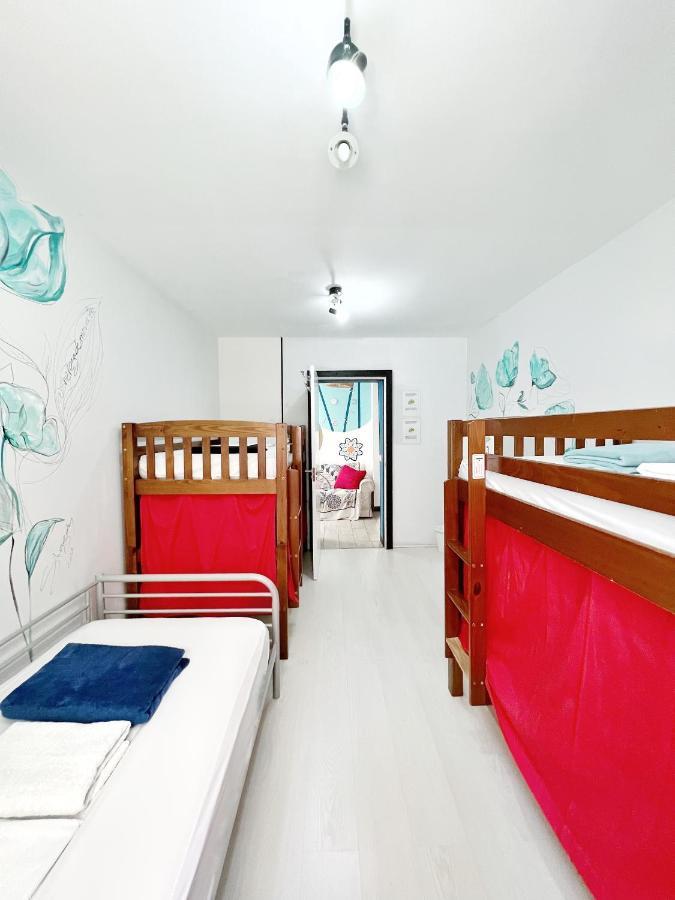 Tenerife Experience Hostel 산타크루스데 테네리페 외부 사진