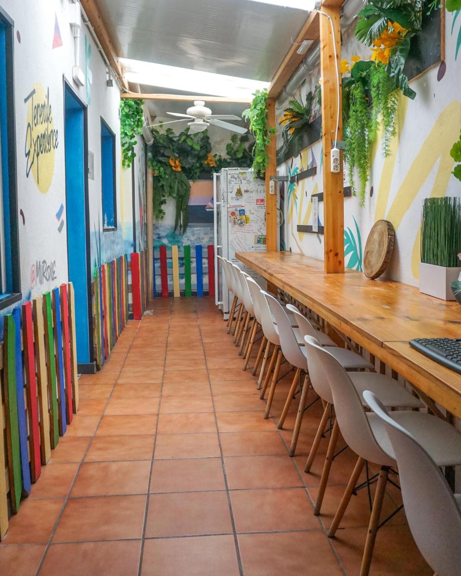 Tenerife Experience Hostel 산타크루스데 테네리페 외부 사진