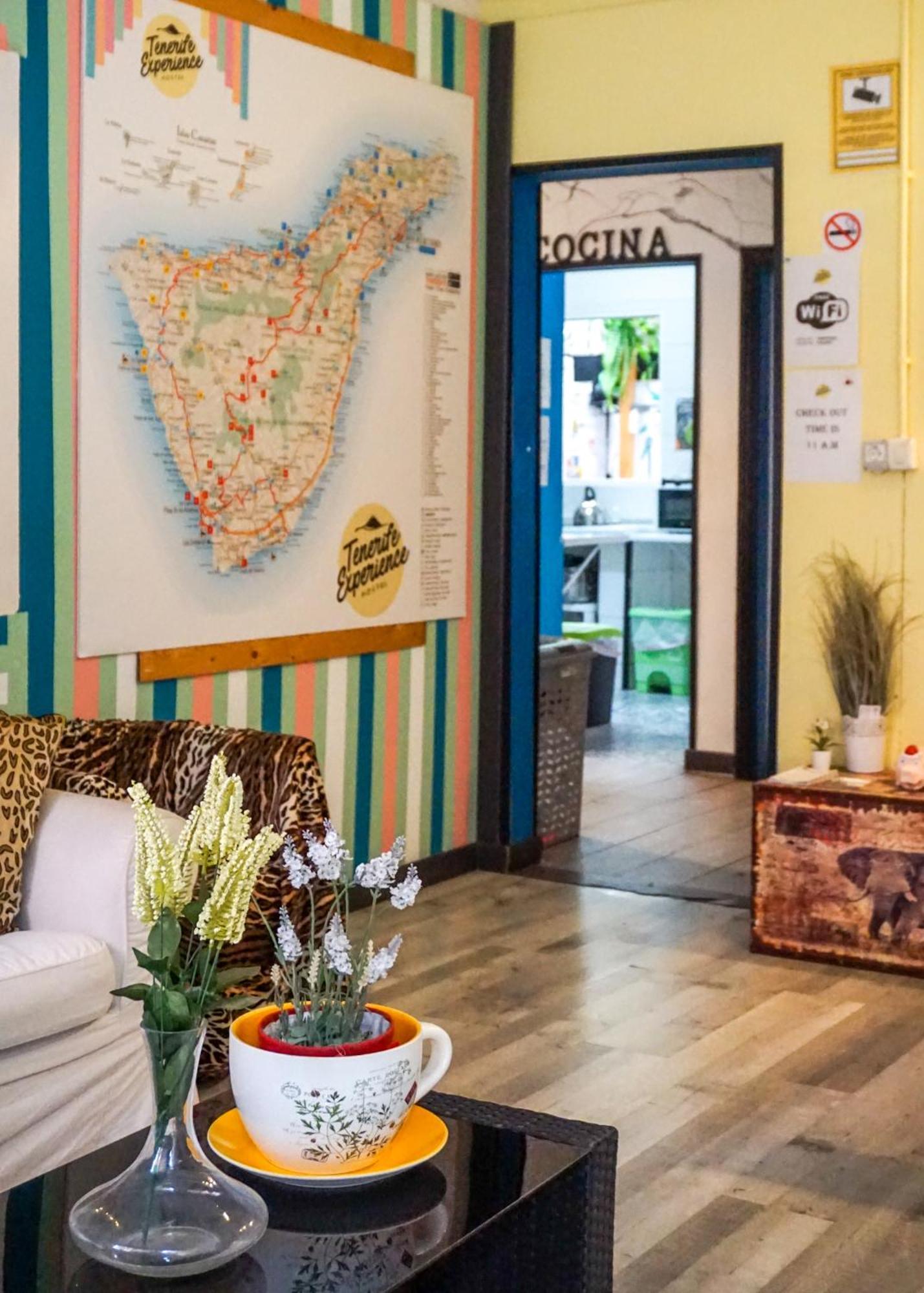 Tenerife Experience Hostel 산타크루스데 테네리페 외부 사진