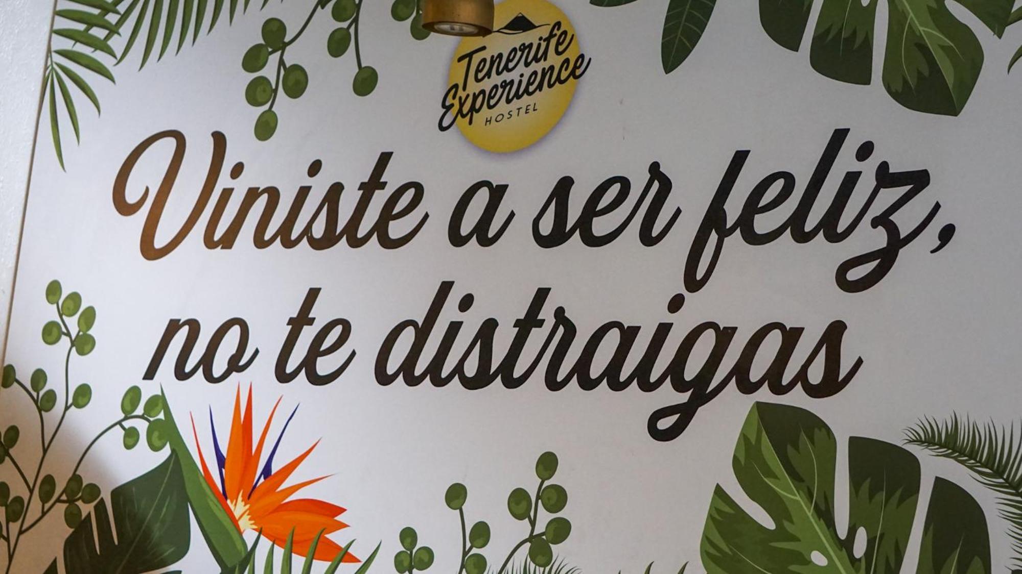 Tenerife Experience Hostel 산타크루스데 테네리페 외부 사진