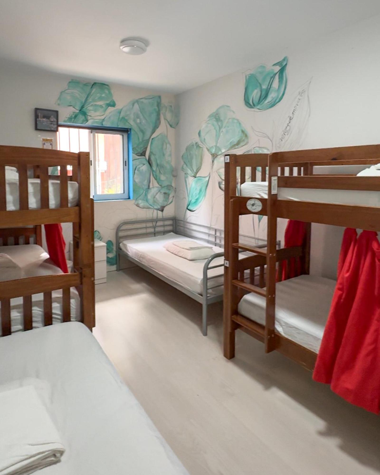 Tenerife Experience Hostel 산타크루스데 테네리페 외부 사진
